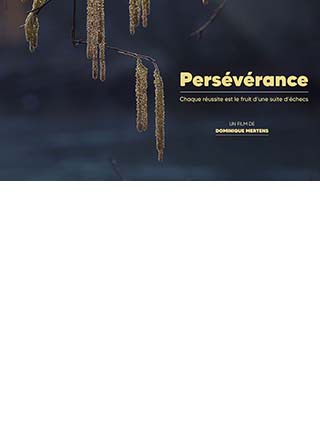 affiche Perseverance