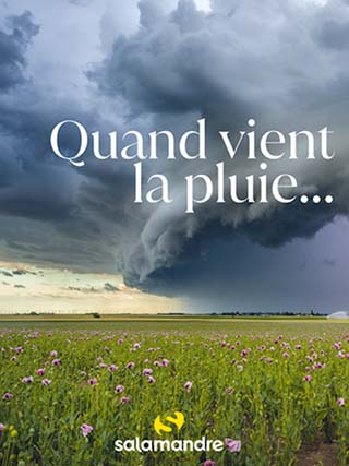 affiche Pluie