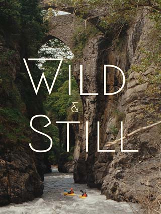 affiche Wild and still